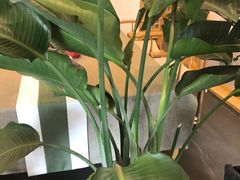 -听雨小筑茶舍(观音桥·龙湖新壹街店)