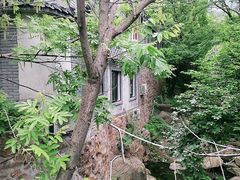 -老张烤羊(王哥庄店)