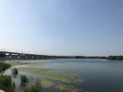 -丁香湖公园
