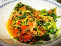 香菜炒牛肉-壹盏灯(华远店)