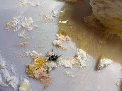 -红宝石·鲜奶小方·海派西点房(南丹店)