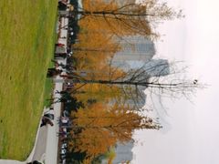 -塔子山公园