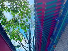 -西安市广仁寺