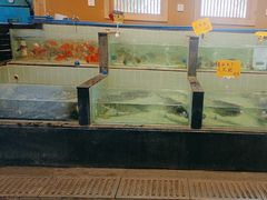 -半山•草庐玖厨(机场路店)