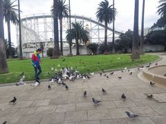 -墨尔本滨海港区