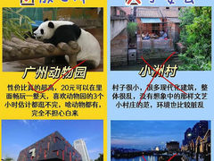 -广州动物园