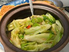 啫啫生菜煲-陶陶居酒家(解放北路店)