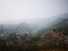 -北京鹫峰国家森林公园