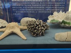-上海海洋大学鱼文化博物馆(军工路校区)
