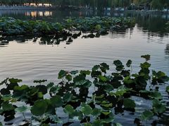 -百花洲