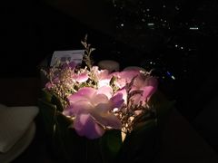 -彩虹云霄拜约克摩天塔