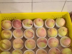 -老袁家蜜桃农场·阳山水蜜桃