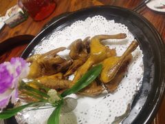-翔雄农庄