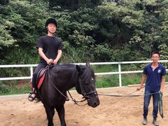 -枫露马术学院(藏书校区)