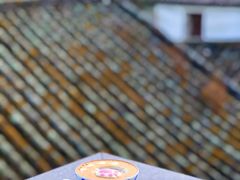 -喵屿·大理花园猫咖