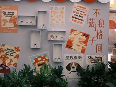 -万象汇