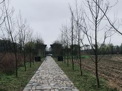 -广富林郊野公园
