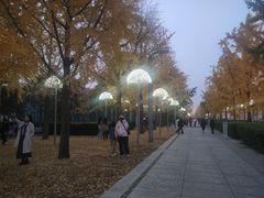 -门框胡同百年卤煮(鸟巢店)