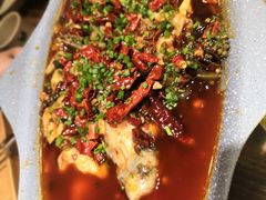 -庆合府重庆大排档(紫都城店)