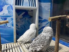 -成都浩海立方海洋公园