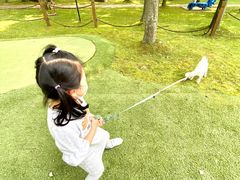-佘山世茂艾美·御珍轩中餐厅