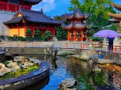 -上海东林寺(金山区)