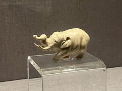 -四川大学博物馆