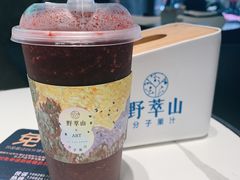 -野萃山·潮汕厚果汁(十亩地店)