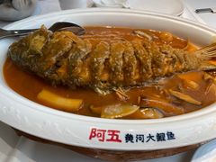 -阿五黄河大鲤鱼(英协路店)