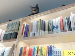 -猫的天空之城概念书店(苏州平江店)
