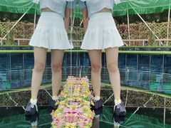 -陶祖圣境风景区