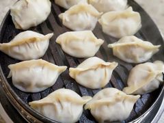 -老马家蒸饺(南海街店)
