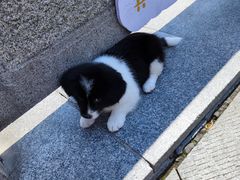 -汤山公园