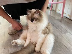 -灯塔咖啡馆BOOK·Coffee Shop