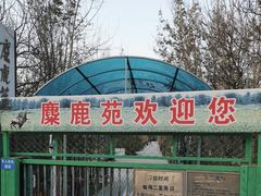 -北京麋鹿生态实验中心