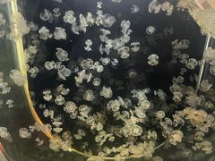 -嘉兴海底世界