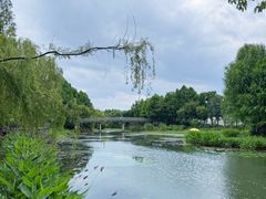 -贡湖湾湿地公园