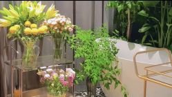 -花隐·美芙炫海菲秀皮肤管理中心