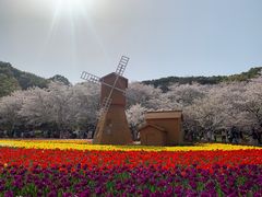 -苏州上方山国家森林公园