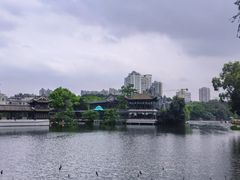 -荔湾湖公园