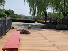 -洛阳市隋唐城遗址植物园