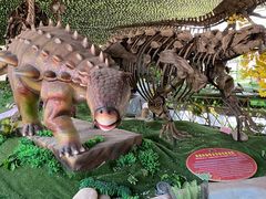 -诸城市恐龙博物馆