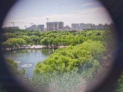 -青城公园