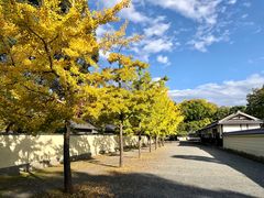 -京都御所
