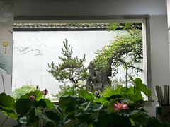 -杭州植物园