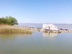 -上海吴淞炮台湾国家湿地公园