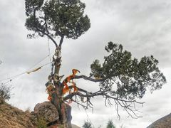 -莲宝叶则景区