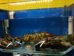 -荣祥海鲜·烟台菜(胜利路二部)