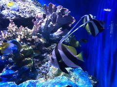 -华夏文旅海洋公园