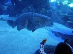 -成都浩海立方海洋公园